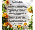 JABÓN MÍSTICO CALÉNDULA* Calma, Regenera, Vibración positiva