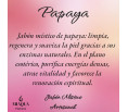 JABÓN ARTESANO MÍSTICO PAPAYA